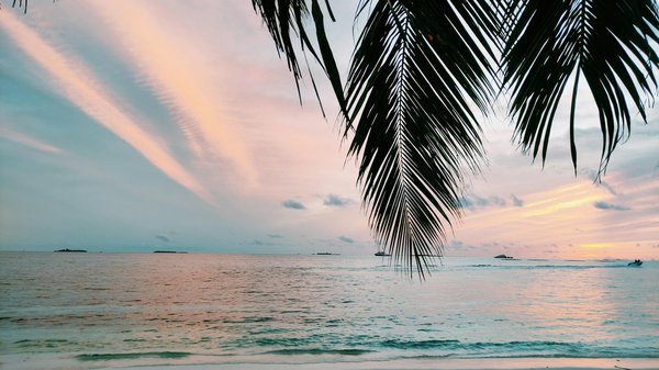 Comment organiser une croisière pour explorer les îles Galápagos, Équateur?